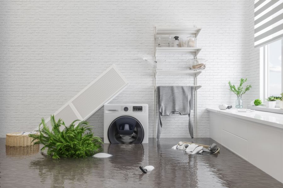 Restoration Services by Leal Cleaning and Restoration Services LLC