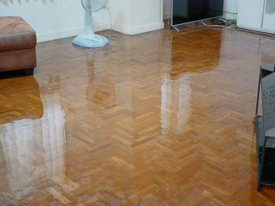 House Flooding Restoration by Leal Cleaning and Restoration Services LLC