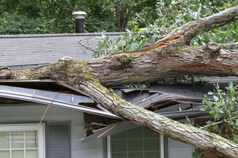 Roof Damage Claims by Leal Cleaning and Restoration Services LLC