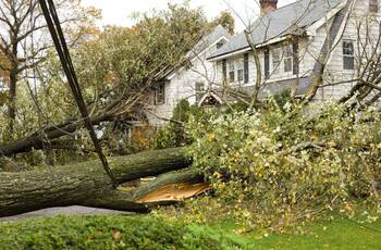 Storm Damage Claims in Houghs Neck, Massachusetts by Leal Cleaning and Restoration Services LLC