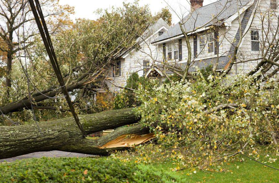 Storm Damage Claims by Leal Cleaning and Restoration Services LLC