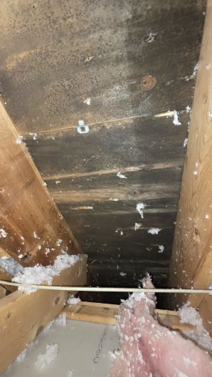 Before & After Mold Remediation in Lynn, MA (2)