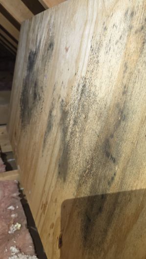 Before & After Mold Remediation in Lynn, MA (4)