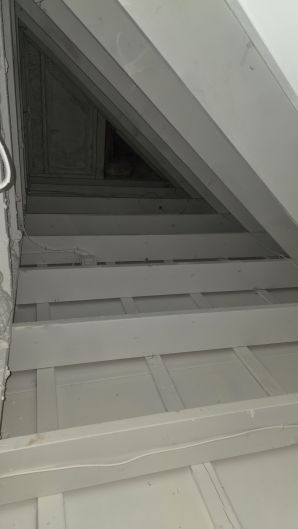 Mold Remediation in Allston, MA (1)