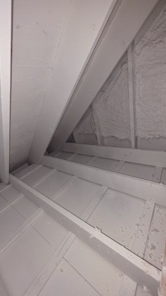 Mold Remediation in Allston, MA (7)