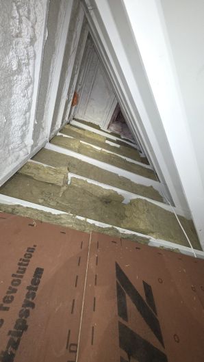 Mold Remediation in Allston, MA (3)