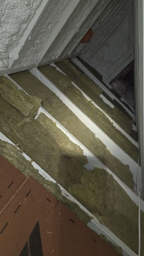 Mold Remediation in Allston, MA (2)