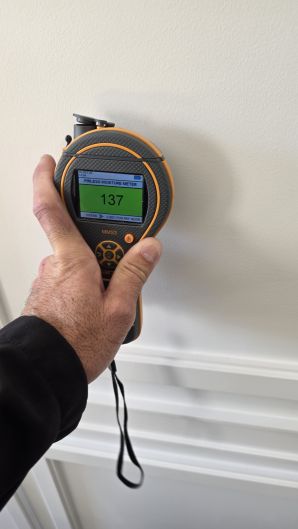 Restoration Services in Dorchester, MA (2)