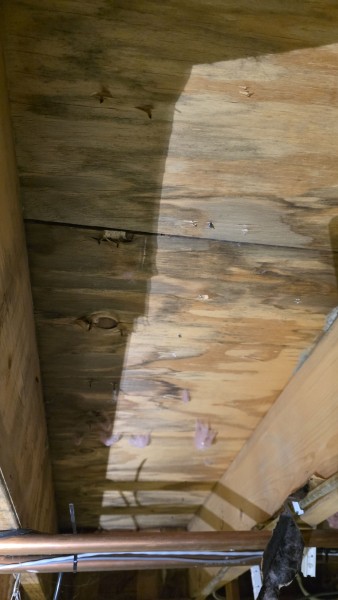 Mold Remediation in Cambridge, MA (5)