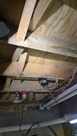 Mold Remediation in Cambridge, MA (after) (3)