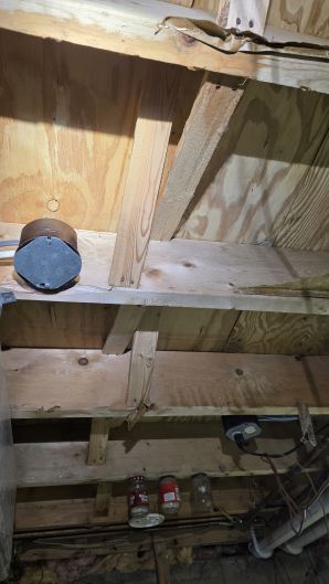Mold Remediation in Cambridge, MA (after) (2)