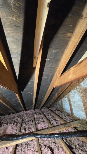 Mold Removal in Boston, MA (before) (4)