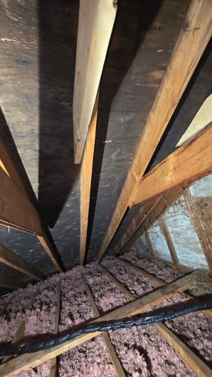 Mold Removal in Boston, MA (before) (3)