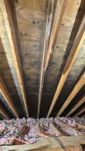 Mold Removal in Boston, MA (before) (6)