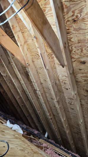 Mold Removal in Boston, MA (after) (3)