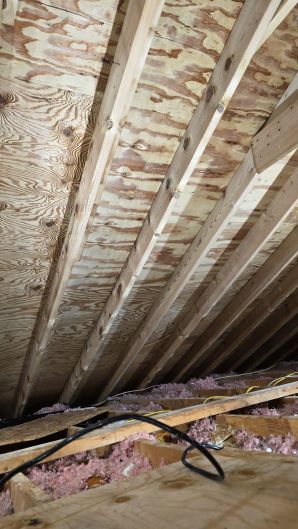 Mold Removal in Boston, MA (after) (6)