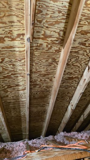 Mold Removal in Boston, MA (after) (5)