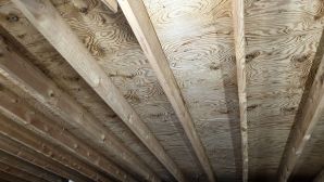 Mold Removal in Boston, MA (after) (1)