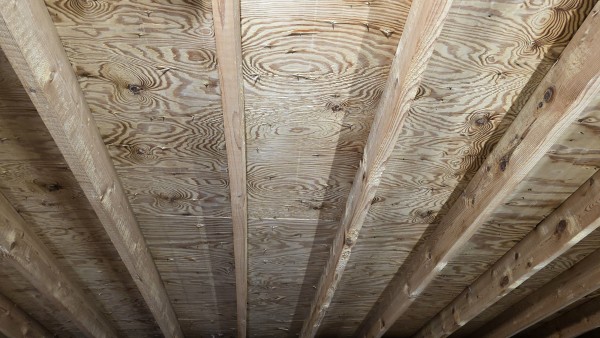 Mold Removal in Boston, MA (after) (9)