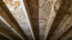 Mold Removal in Boston, MA (after) (8)