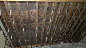 Mold Remediation in Cambridge, MA (5)