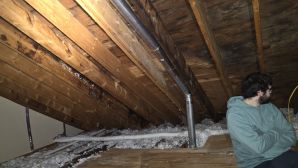 Mold Remediation in Cambridge, MA (7)