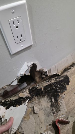 Basement Floods in Lowell, MA (5)