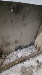 Basement Floods in Lowell, MA (4)