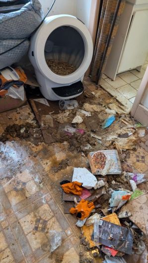 Before and After Hoarder Cleanup in Melrose, MA (7)