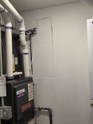 Mold Remediation in Dorchester, MA (6)