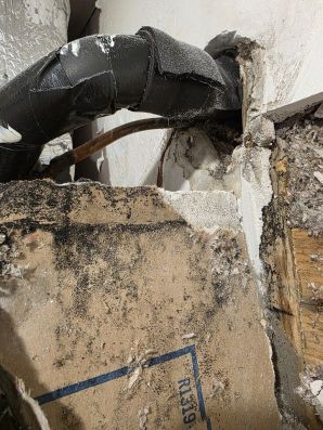 Mold Remediation in Dorchester, MA (2)