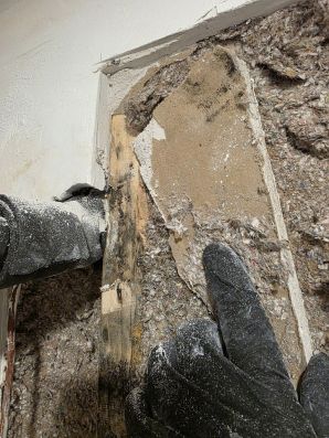 Mold Remediation in Dorchester, MA (4)