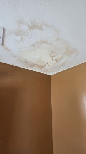 Mold Remediation in Boston, MA (1)
