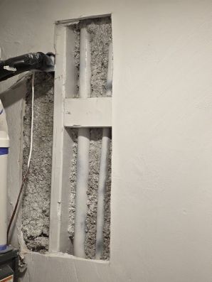 Mold Remediation in Dorchester, MA (5)